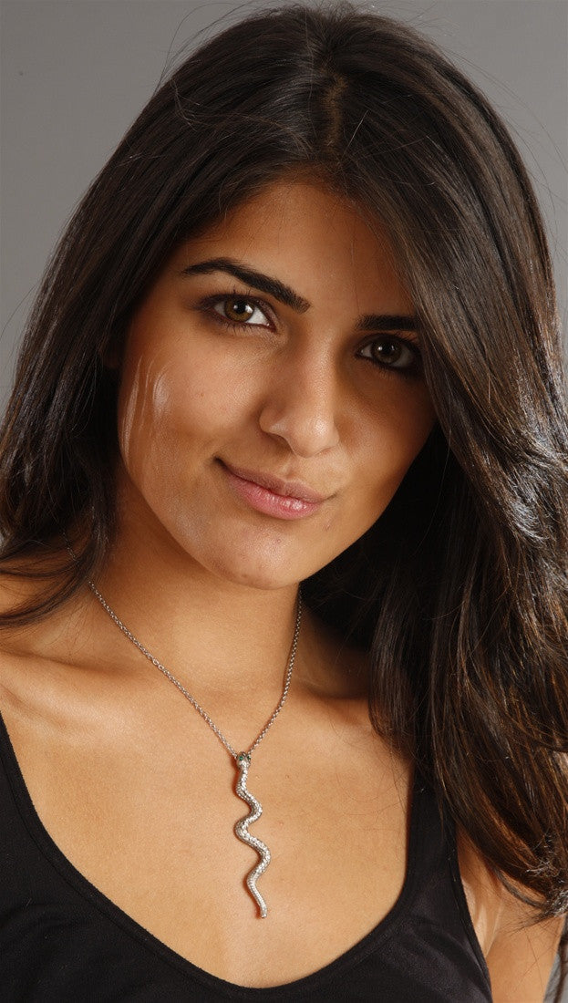 Apparel Addiction Jewelry Silver Snake Necklace