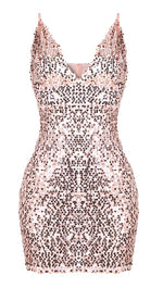 The Stacey Sequin Mini Dress Champagne