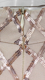 The Natalie Long Sleeved Criss Cross Sequin Turtleneck Dress Champagne